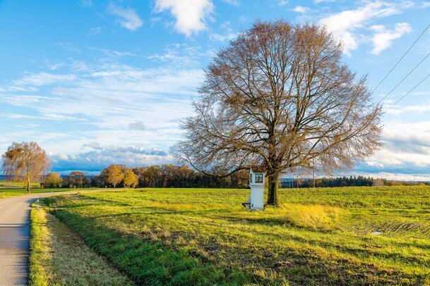 Thumbnail: 02_JA Ebene Flurbereinigung .jpg